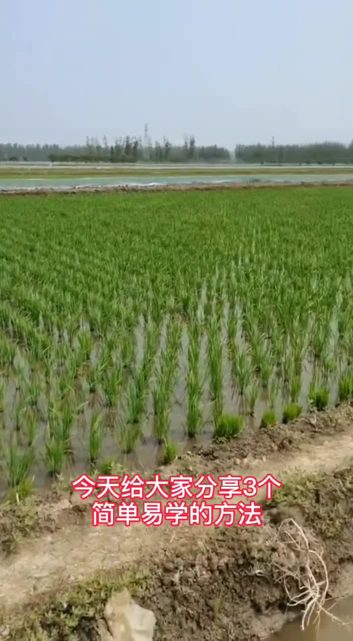 土地亩数的测量方法哔哩哔哩bilibili