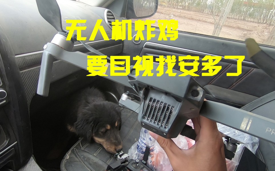 寻找丢失的狗子安多第五天,有人联系好像看到它,遗憾并不是