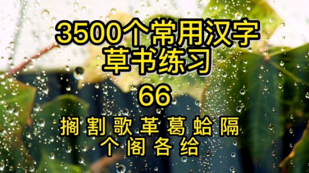 第66期 草书常用汉字练习分享.哔哩哔哩bilibili