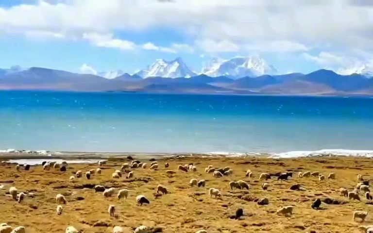 [图]西藏旅游随手拍圣湖纳木措，羊卓雍措，普姆雍措，此景只应天上有