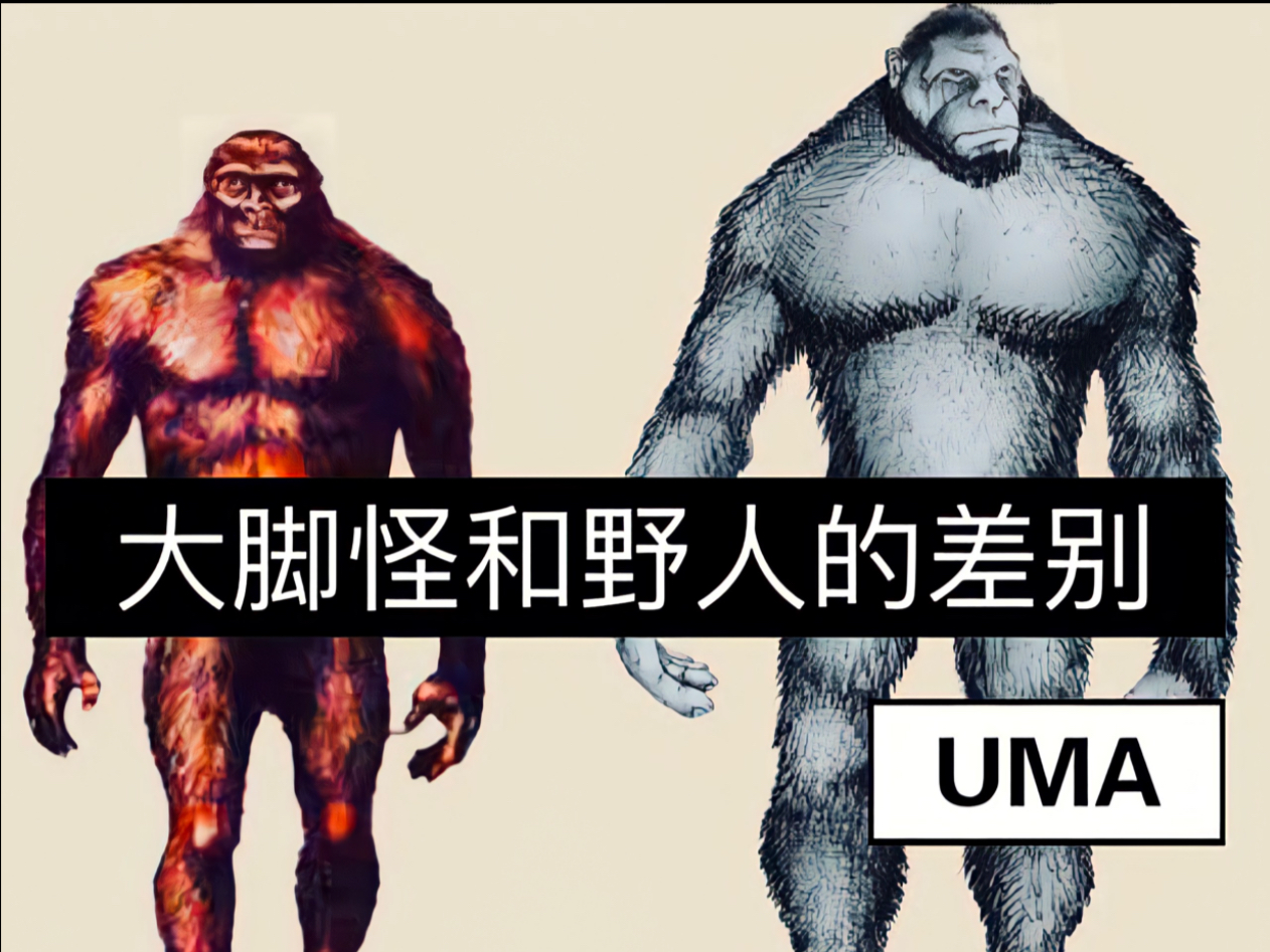 大脚怪和野人之间的差别