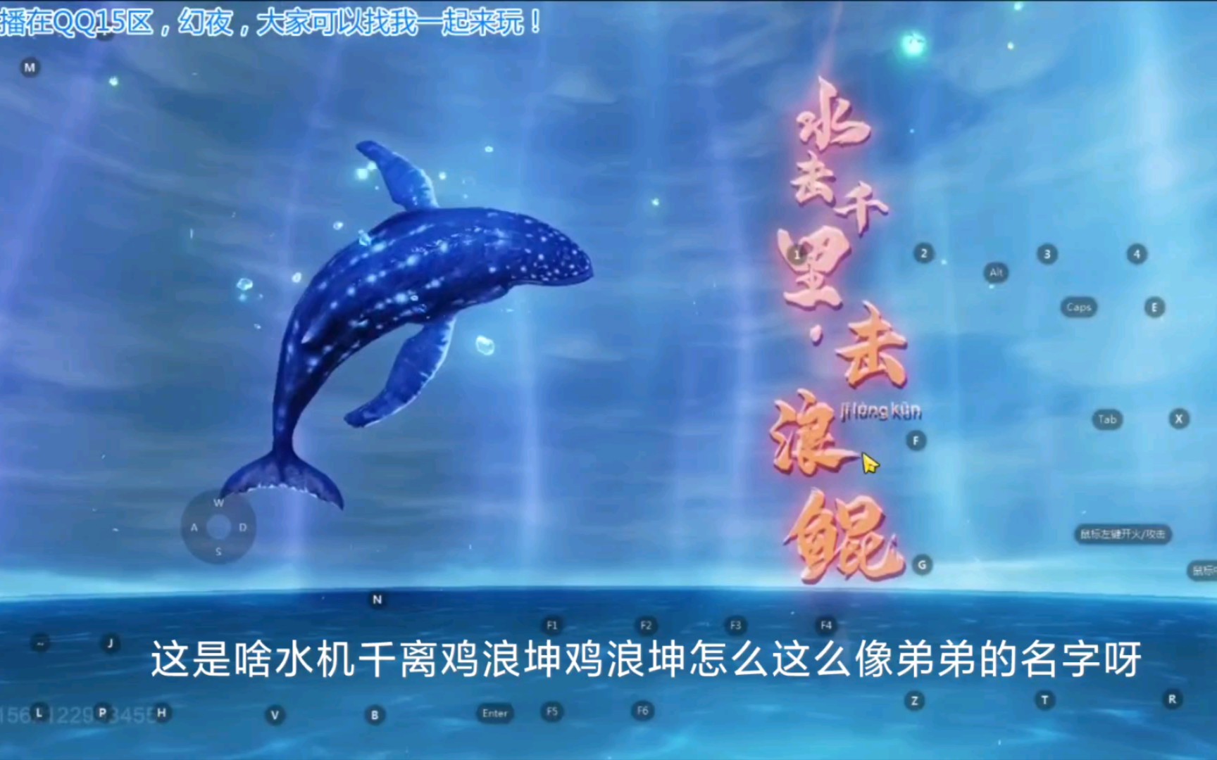 妄想山海鲲的最终进化形态