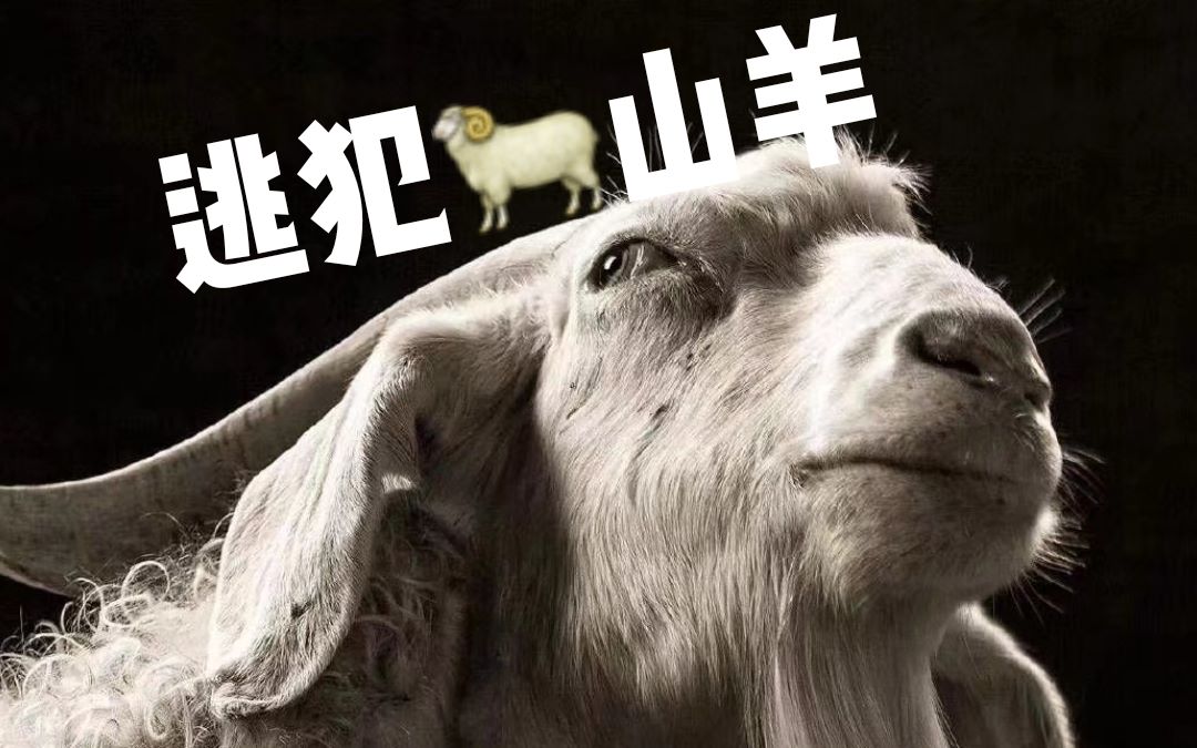 活动作品山羊女皇畏罪潜逃了