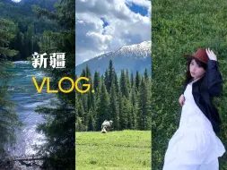 新疆VLOG (上) 🏔️夏天自由治愈的阿勒泰 12天自驾新疆的难忘瞬间｜去赛里木湖了没白活