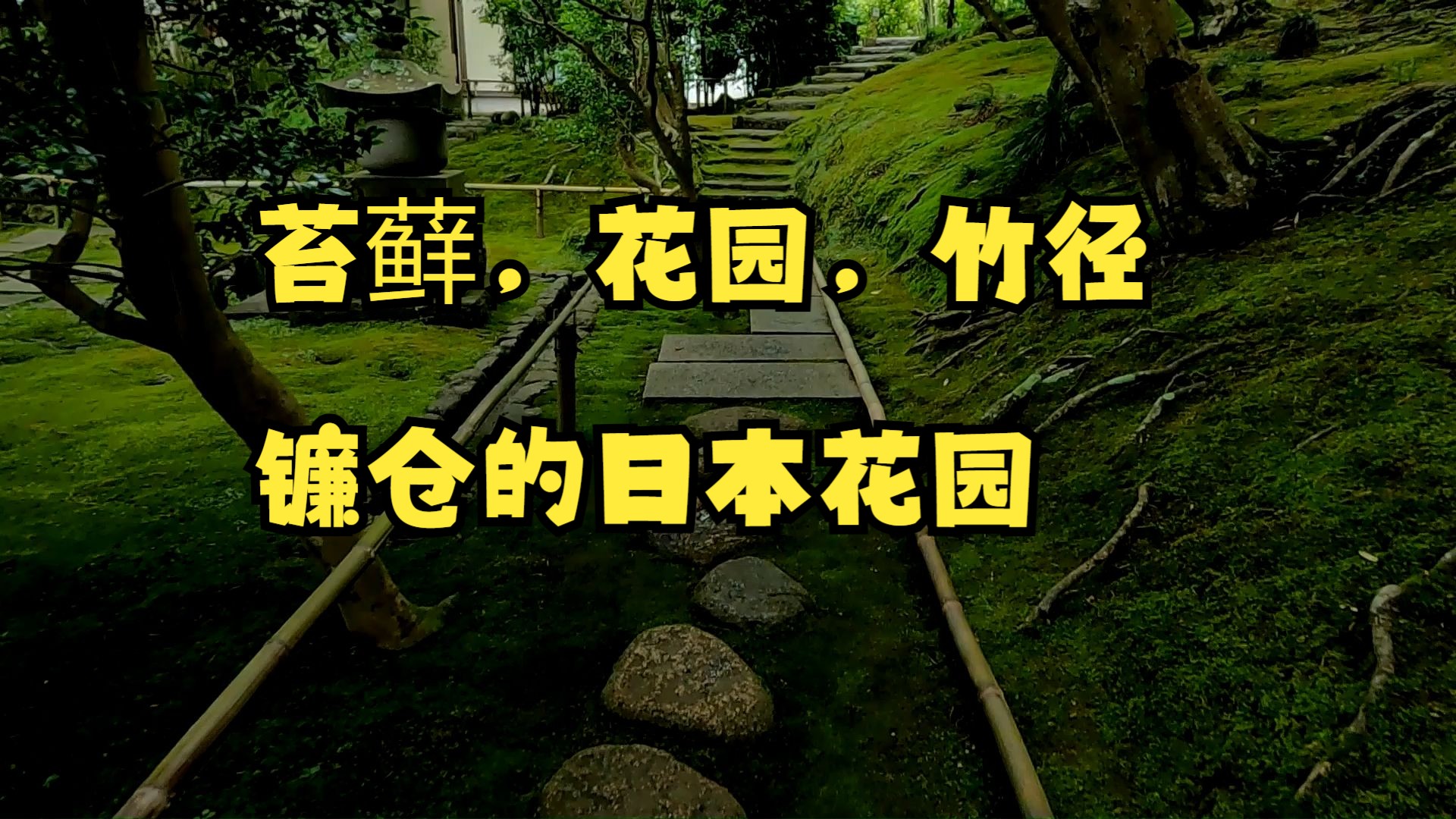 日本庭园:苔藓,花园,竹径镰仓的日本花园哔哩哔哩bilibili