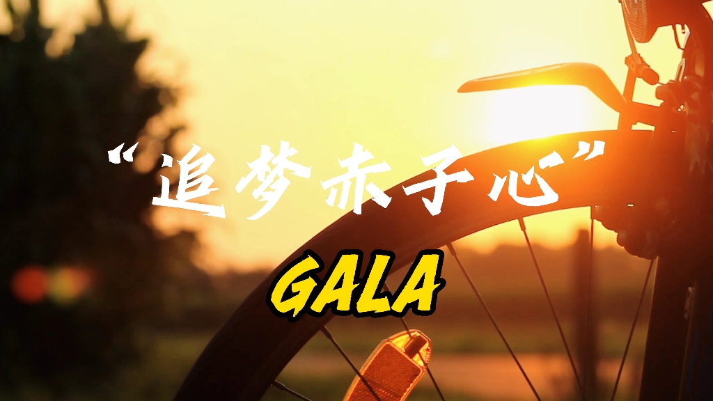 "我们风雨兼程绝不空手而归《追梦赤子心-gala