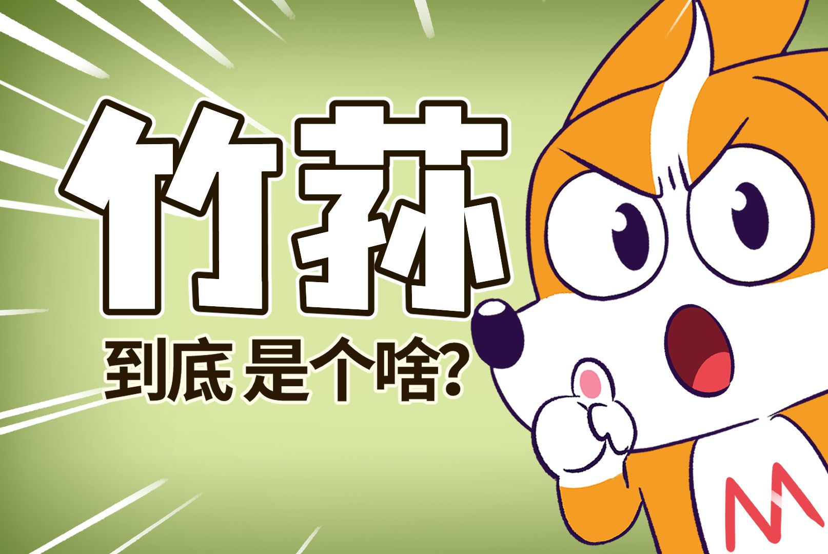 【小魔】涮火锅吃的竹荪,到底是个啥?