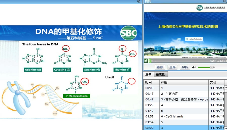 DNA甲基化研究伯豪生物哔哩哔哩bilibili