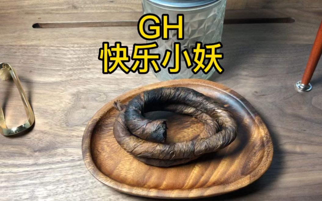 GH 快乐小妖哔哩哔哩bilibili