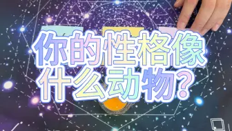 【娱乐测试】你的性格像什么动物？