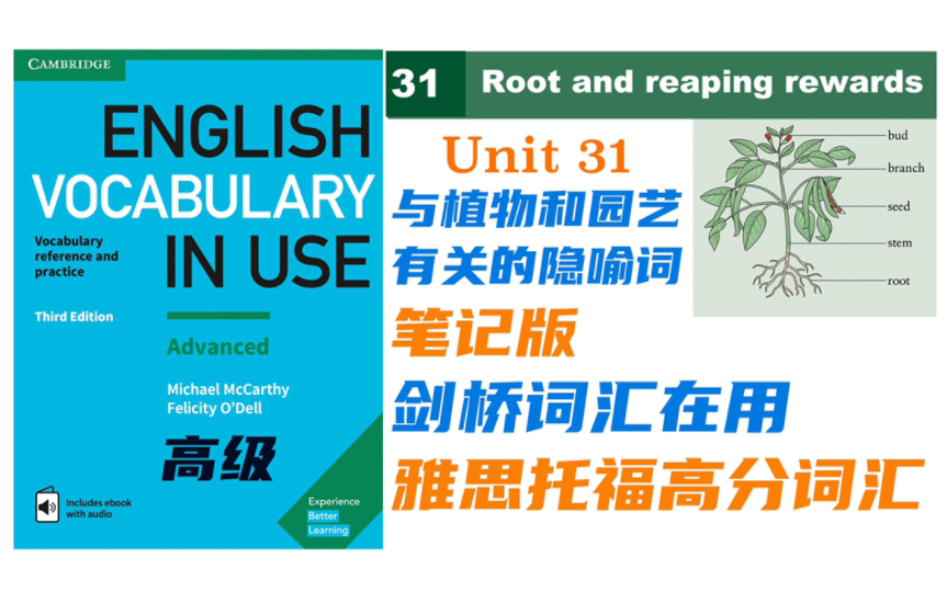 【Vocabulary in Use】雅思托福高分词汇Unit 31植物和园艺相关词汇短语 笔记版|学完词汇破万场景记单词|剑桥词汇在用高级哔哩哔哩bilibili