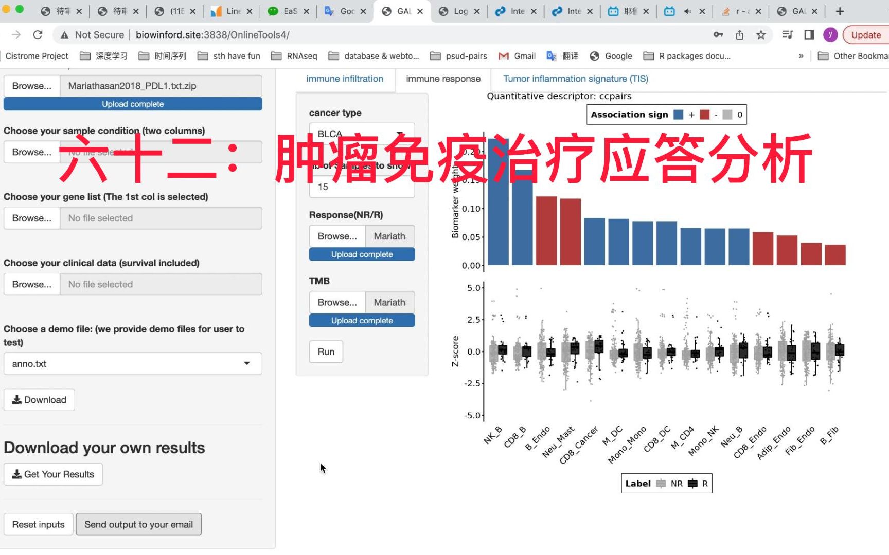 六十二:肿瘤免疫应答分析哔哩哔哩bilibili