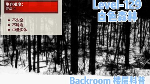 The backrooms wikidot level 0 ~ 74 真实生存难度推测_哔哩哔哩_bilibili