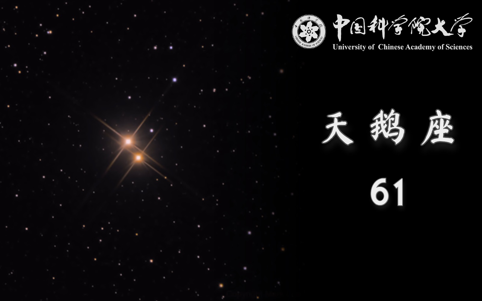 天鹅座61丈量星空的里程碑哔哩哔哩bilibili