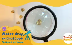 Download Video: IYPT2024参考资料| P2Droplet Microscope 液滴显微镜