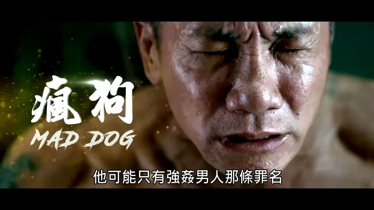 王 雷 林 北 疯 狗