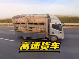 下载视频: 为什么中暑的猪那么快？