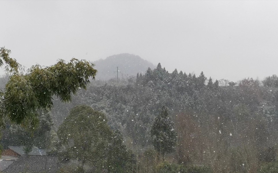 [图]四川东北山区一月十六日雪