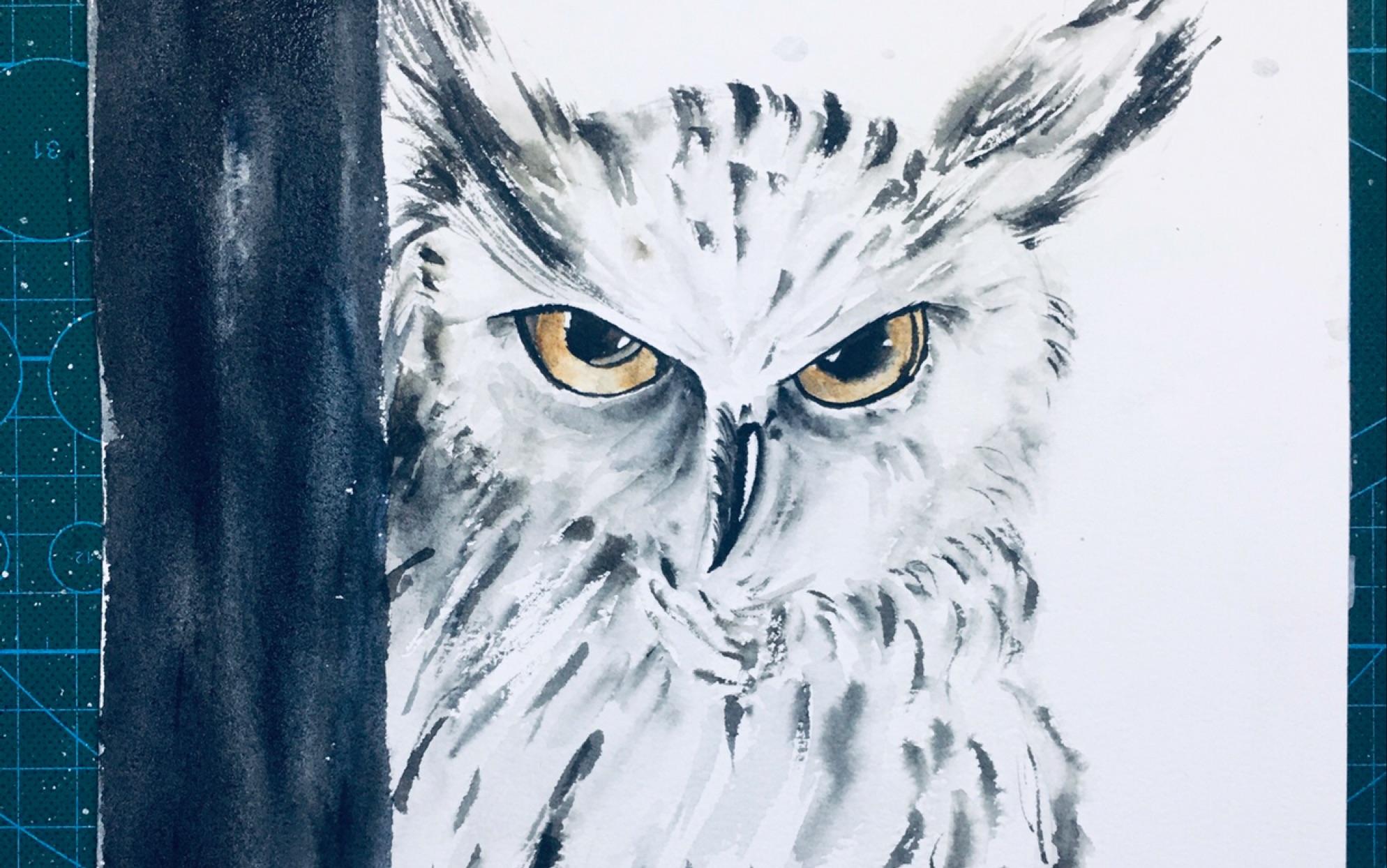 水彩教程—猫头鹰