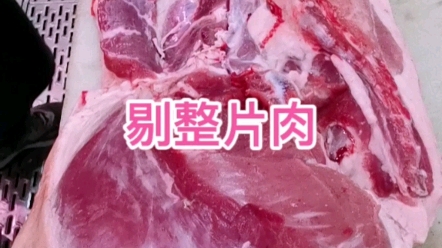 剔肉视频来了,看个舒服,看个解压哔哩哔哩bilibili