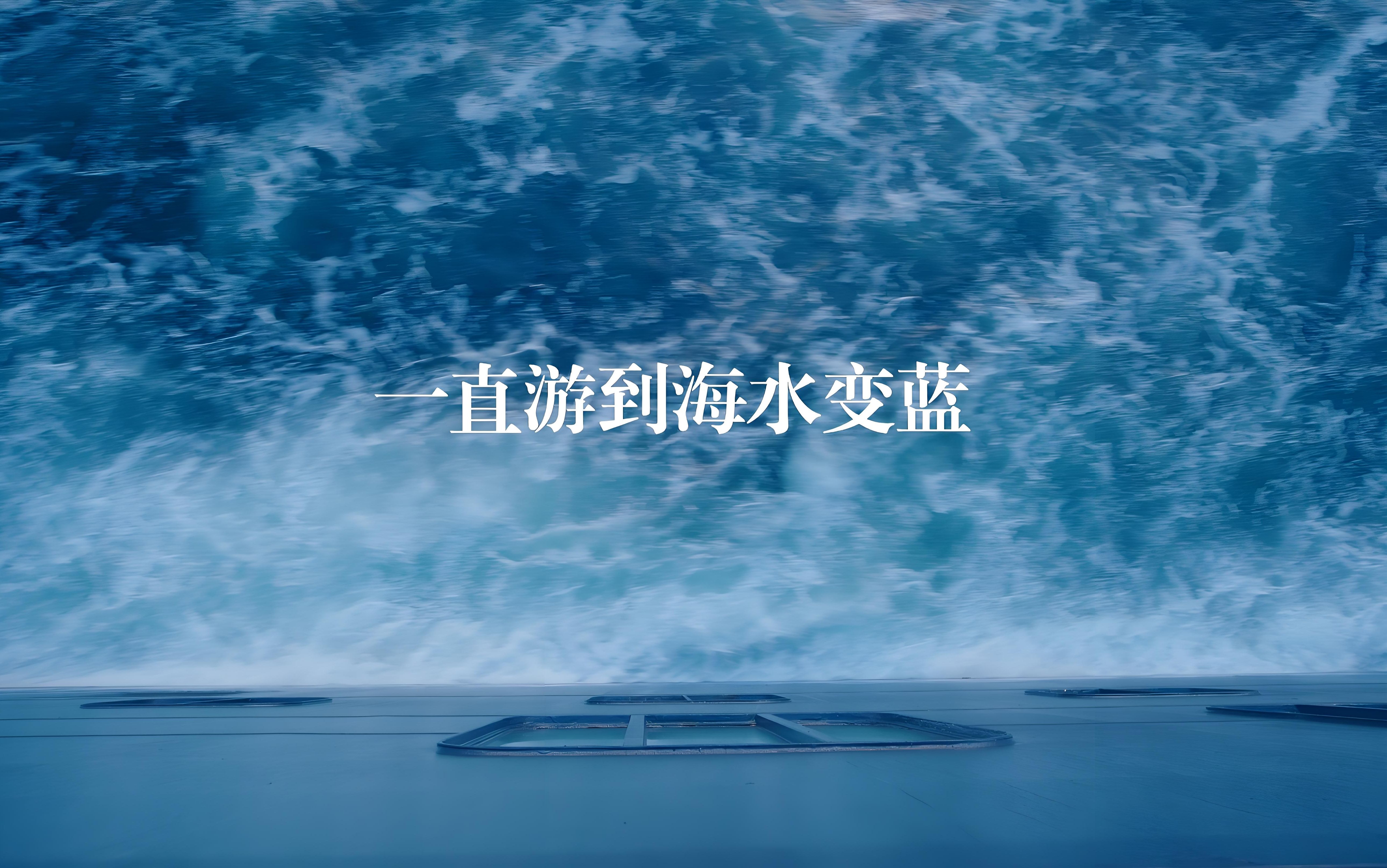 一直游到海水变蓝》特别感人的纪录片