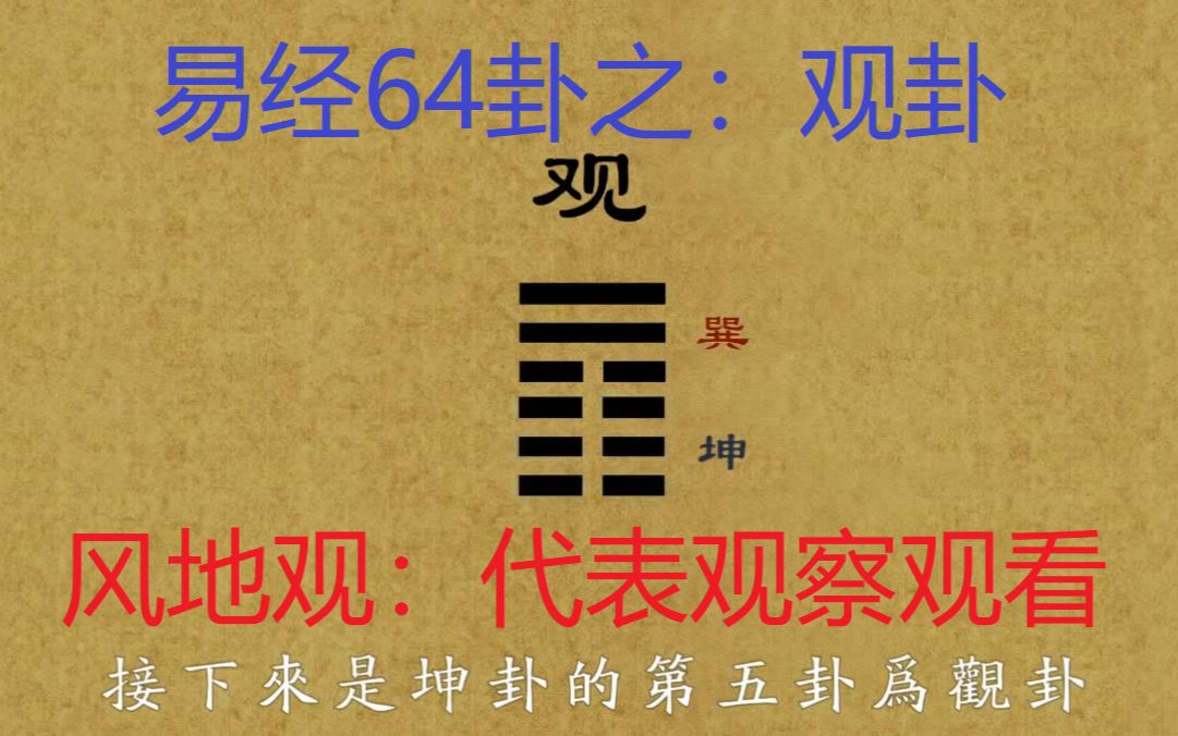 易经64卦【观卦】:代表观看观察哔哩哔哩bilibili