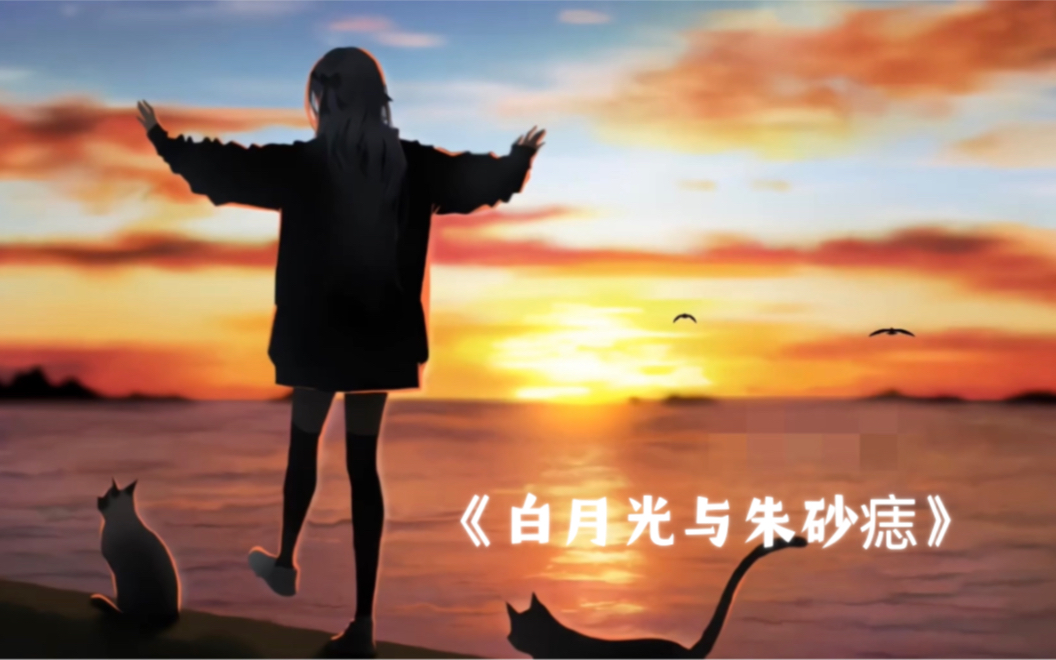 白月光朱砂痣的爱情含义 B站