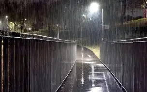 Скачать видео: 照亮漆黑公园的路灯、柔和的雨声