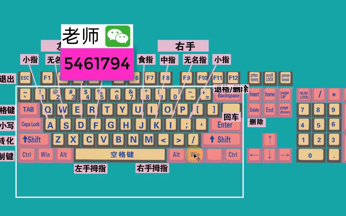 零基础学电脑打字,快速学会键盘打字,适合初学者学习