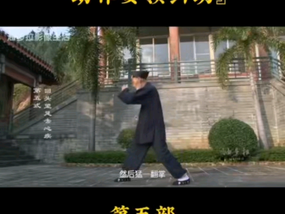 张至顺道长八部金刚功纠功