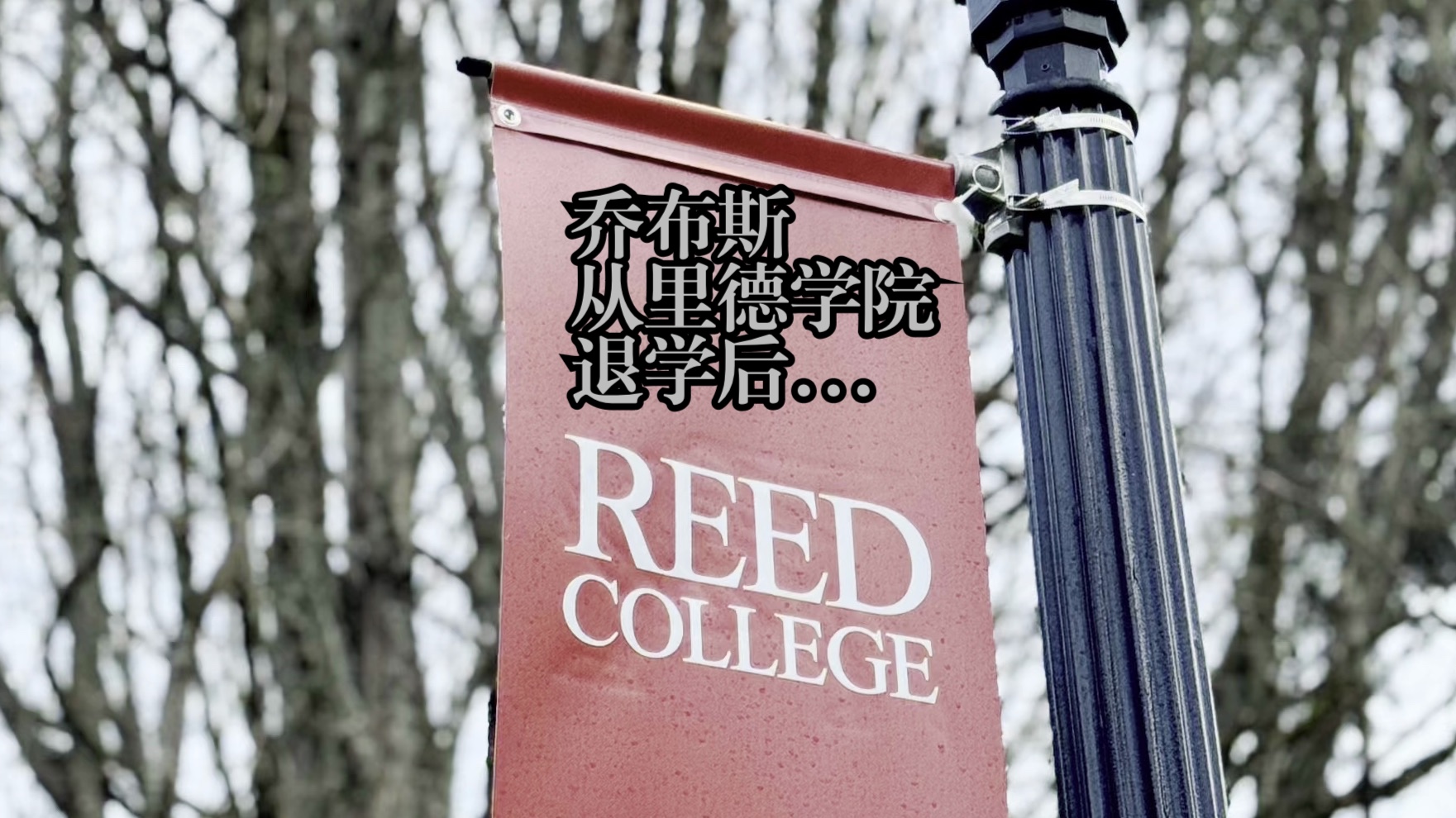 乔布斯从REED COLLEGE(里德学院)退学后,发生了什么?4月1日苹果公司成立纪念vlog哔哩哔哩bilibili