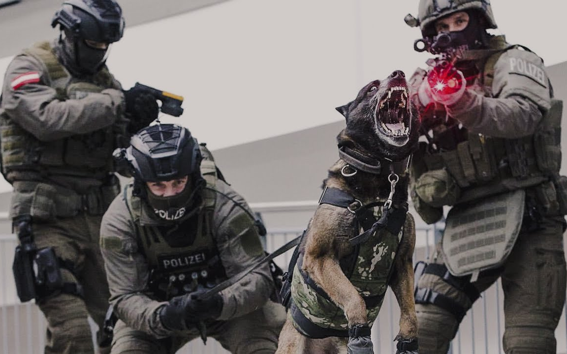 【奥地利】眼镜蛇特种警察部队混剪 eko cobra