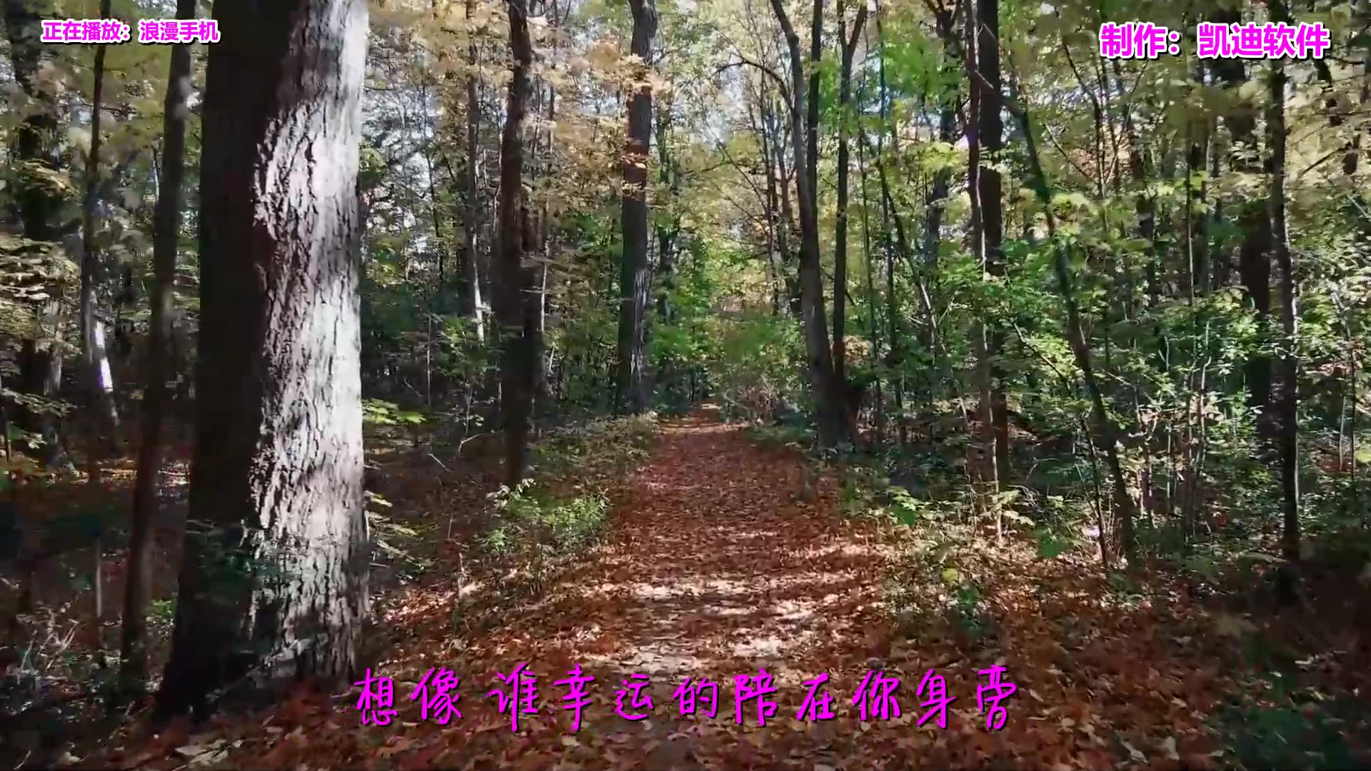 《浪漫手机》欣赏,全民k歌mv制作手机软件下载哔哩哔哩bilibili