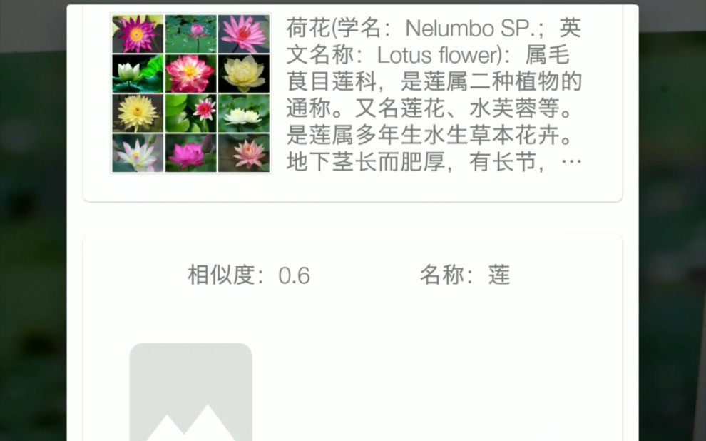 xiehaibin的毕业设计:plantshub植物学习APP哔哩哔哩bilibili