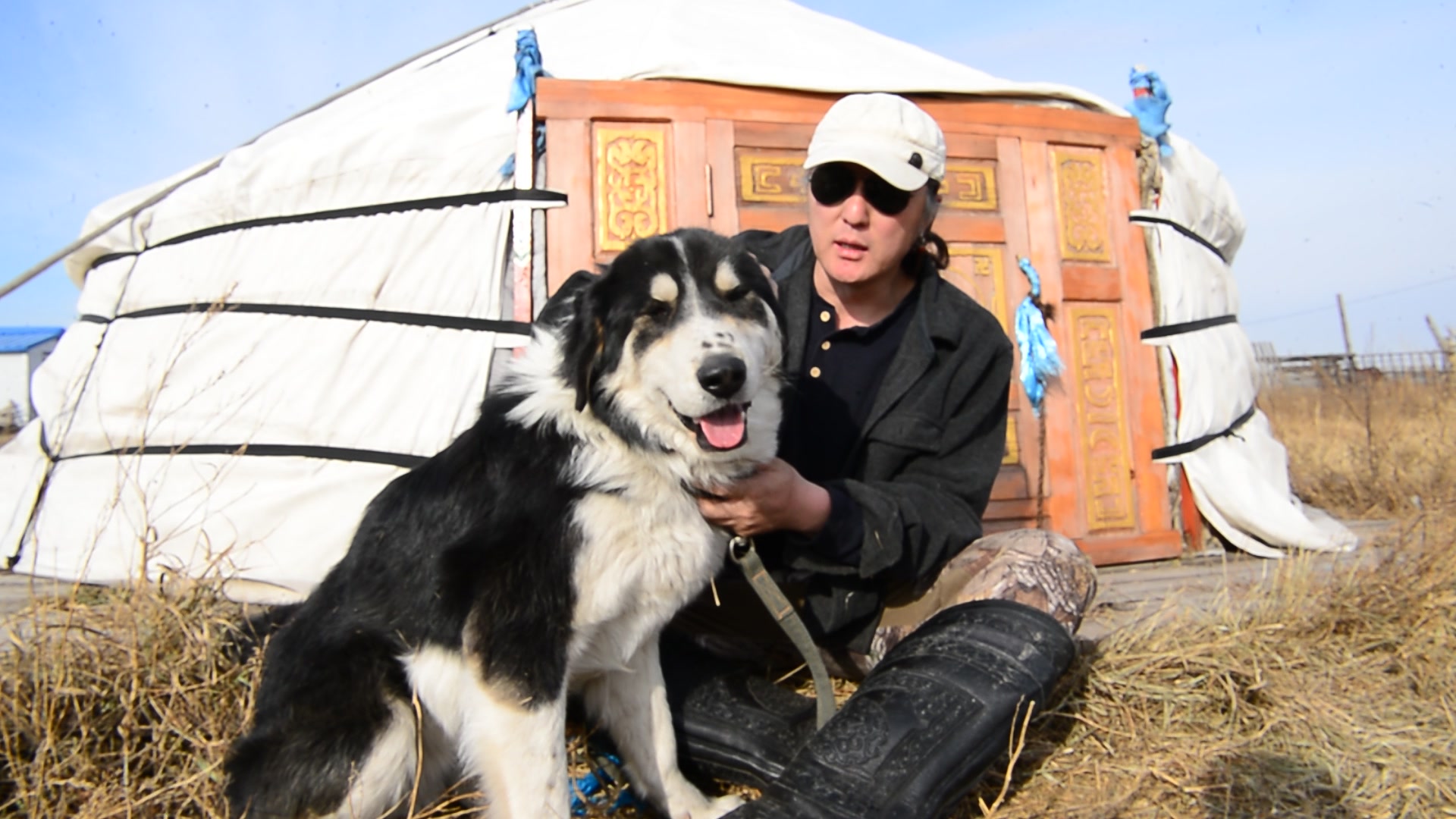《蒙古牧羊犬》—勒布特
