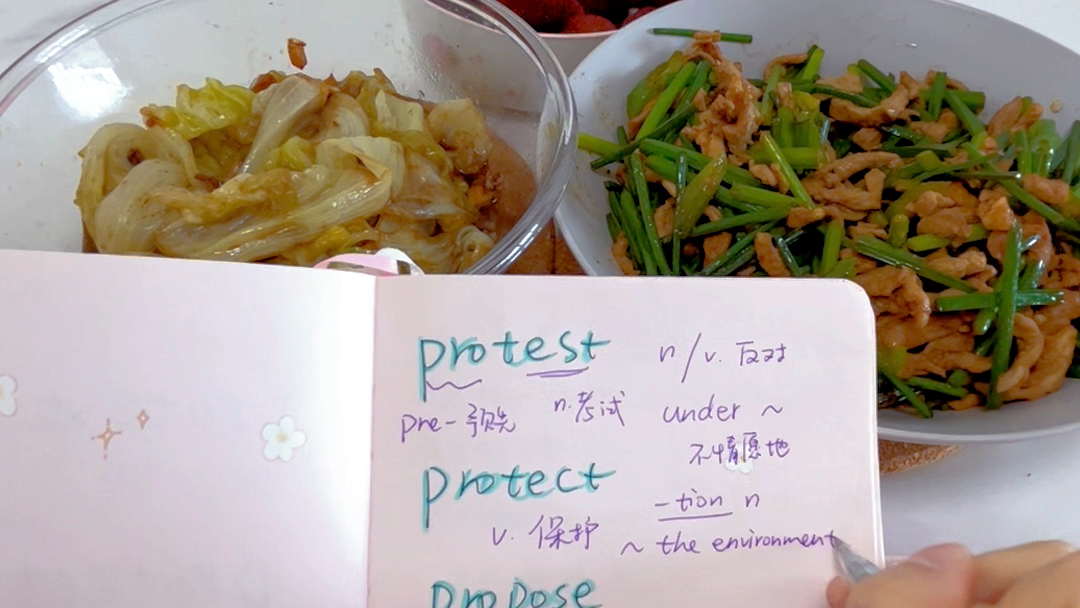 protest,protect,propose,pretext哔哩哔哩bilibili