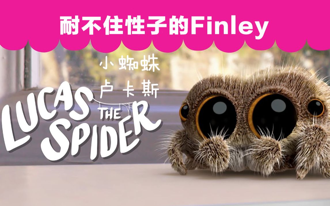 小蜘蛛卢卡斯抵挡不住美食诱惑的小伙伴finley