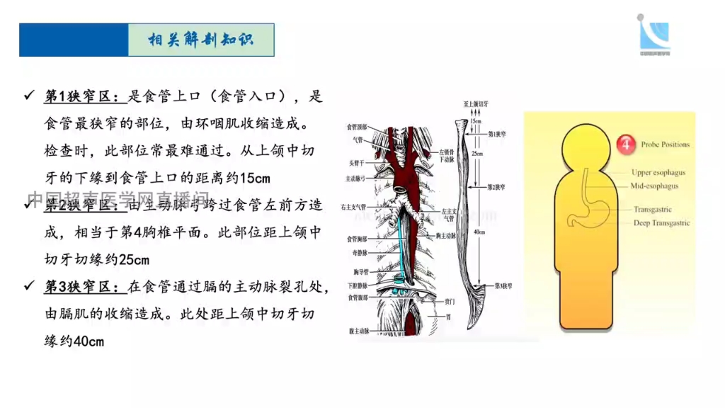 [图]经食道超声:TEE基本操作及解剖基础03（全套共28集，阜外医院授课，很不错的tee教程）