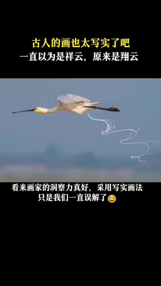 “翔云”哔哩哔哩bilibili