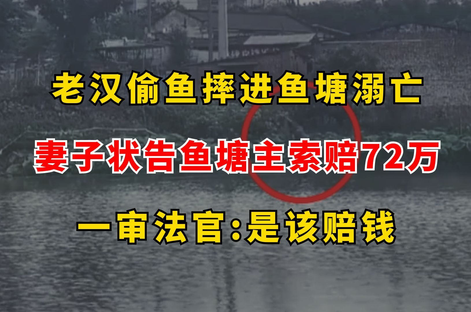 老汉偷鱼不慎溺亡,妻子状告鱼塘主索赔72万,一审法官:是该赔钱哔哩哔哩bilibili