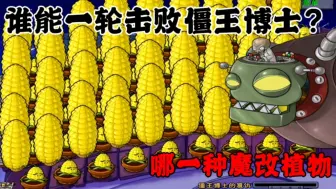 Descargar video: 植物大战僵尸:哪一种全屏魔改植物，能在一轮之内击败僵王博士？