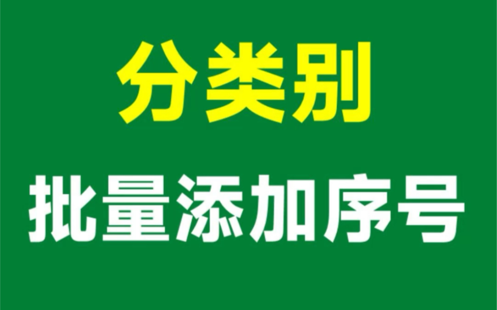 分类别添加序号,一个N函数就搞定哔哩哔哩bilibili