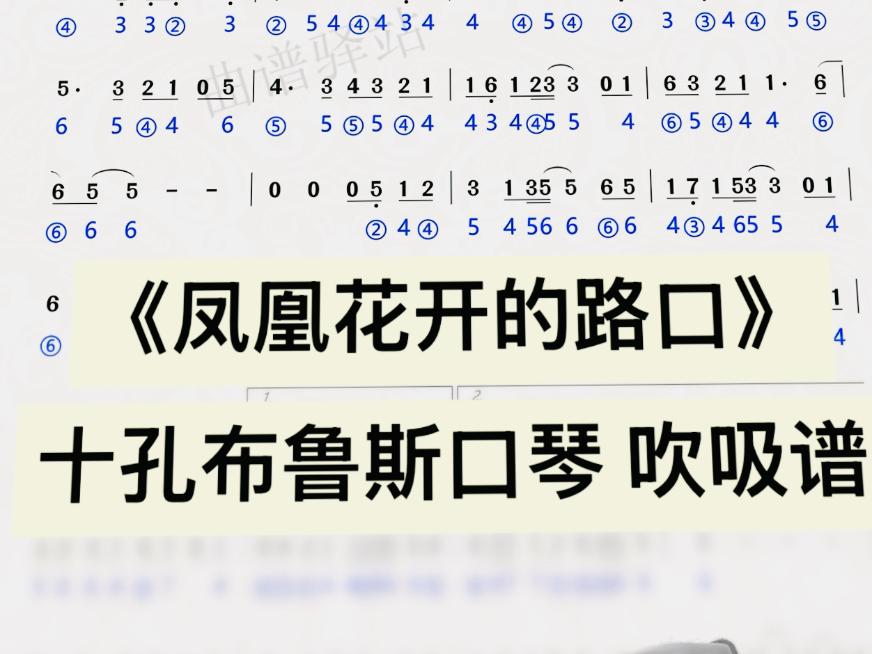 《凤凰花开的路口》蓝调十孔布鲁斯口琴 吹吸谱哔哩哔哩bilibili