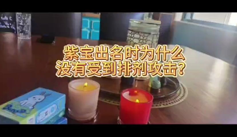 紫宝出名时为什么没有受到排挤攻击?哔哩哔哩bilibili