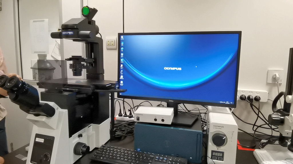 奥林巴斯倒置显微镜使用教程