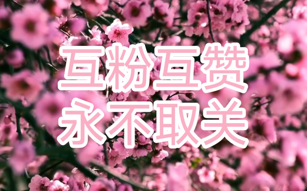 互粉互赞,在线秒回,诚信必回,取关的是小狗