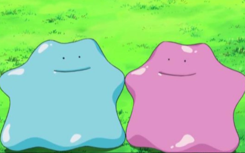 2024年第十三闪 闪光百变怪!