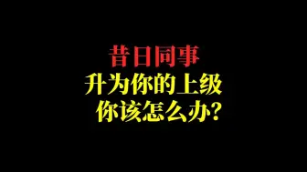 Download Video: 以前的同事，现在是你的上级，应该怎么办？