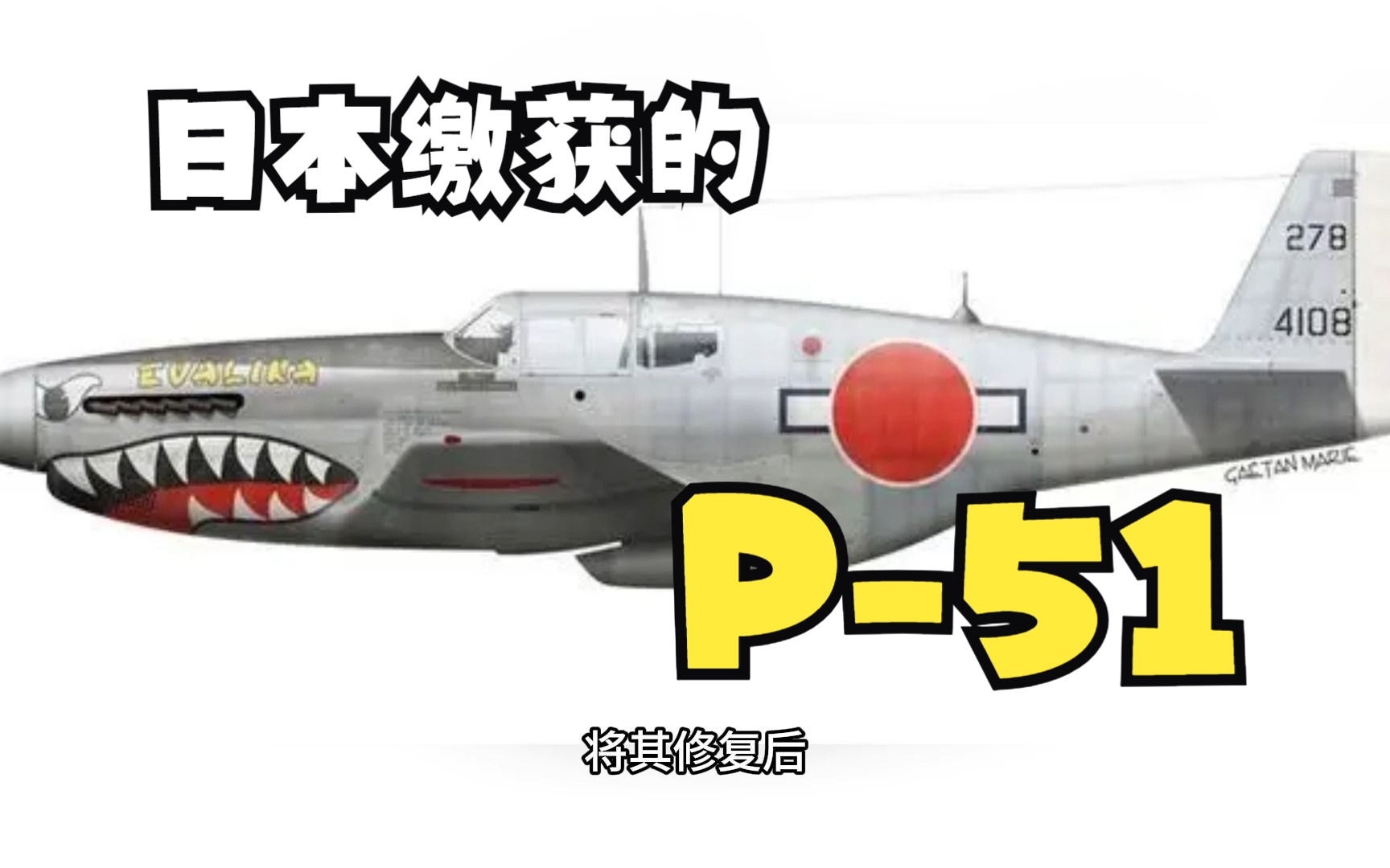 [图]“日之丸”下的“野马”——记日本缴获的北美P-51“野马”战斗机简史