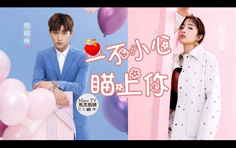 邢昭林胡冰卿一不小心瞄上你经纪人与高冷霸总因猫结缘开启浪漫网恋